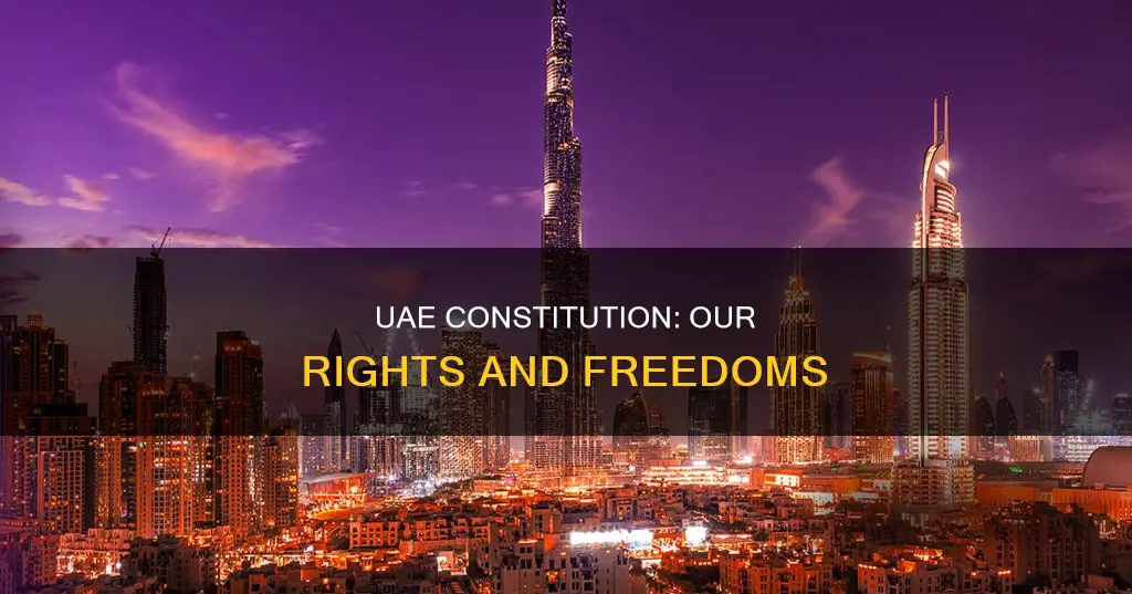 how is the uae constitution important to us