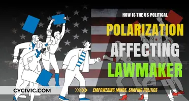 Divided Legislature: How US Political Polarization Impacts Lawmakers