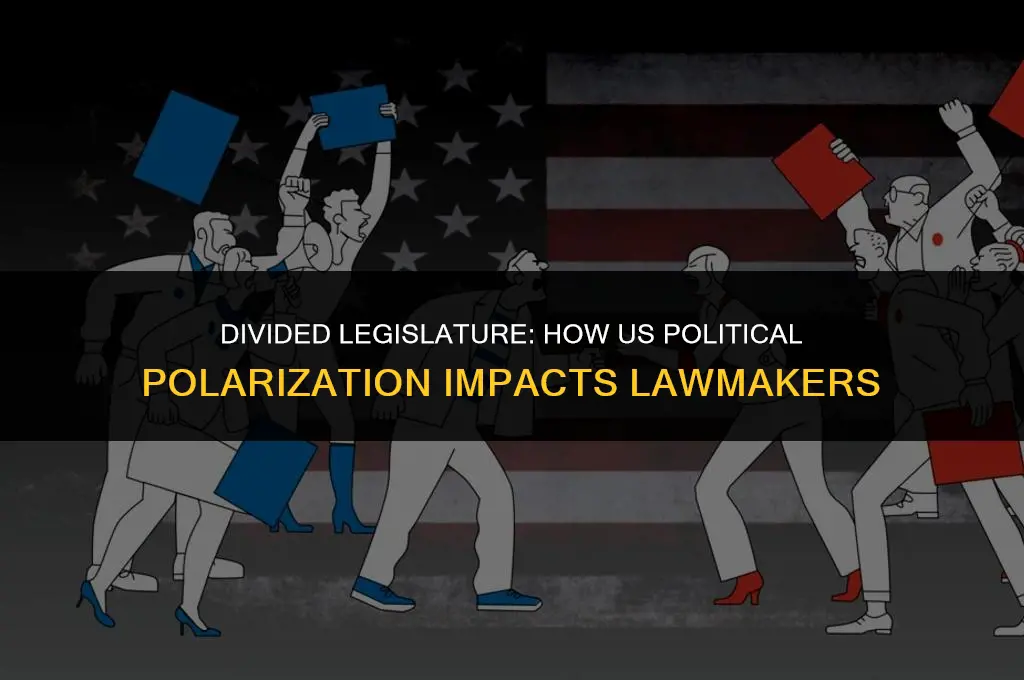 how is the us political polarization affecting lawmakers