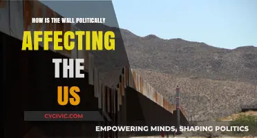 Divided Nation: The Political Impact of the US-Mexico Wall