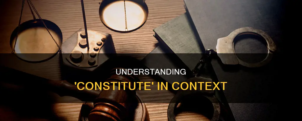 how is the word constitute used in this excerpt