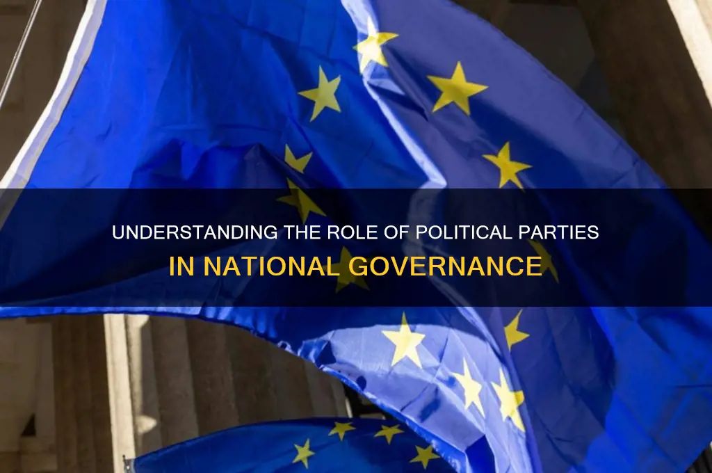 how is this nation governed by political parties