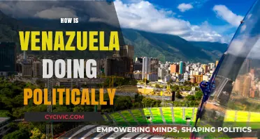Venezuela's Political Landscape: Stability, Challenges, and Future Prospects