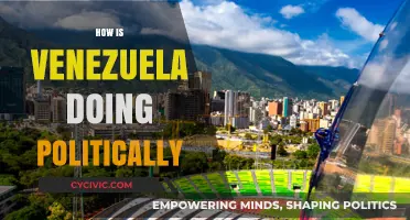 Venezuela's Political Landscape: Stability, Challenges, and Future Prospects