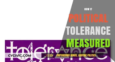 Measuring Political Tolerance: Methods, Challenges, and Societal Implications