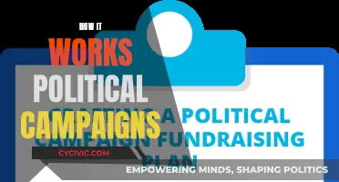 Political Campaigns: Strategies, Techniques, and Their Impact
