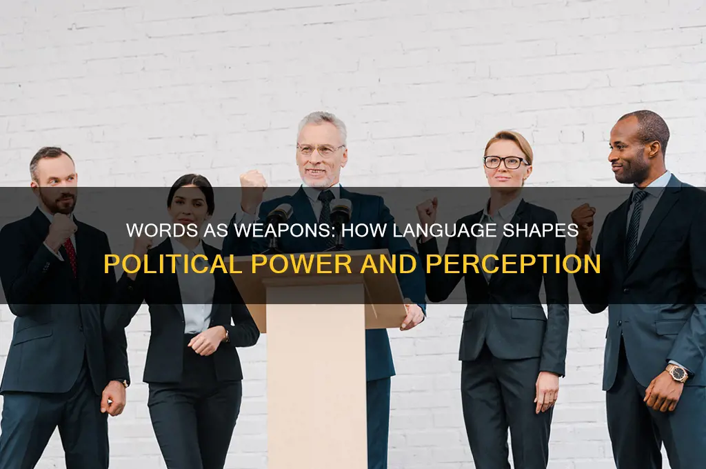 how language shapes politics