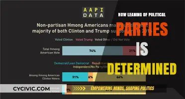 Decoding Political Party Leaning: Methods, Factors, and Determinants Explained