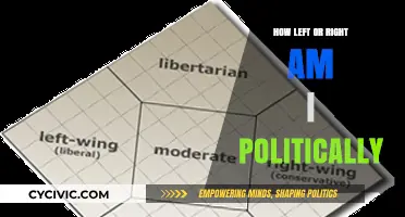 Exploring the Political Spectrum: Where Do You Stand?