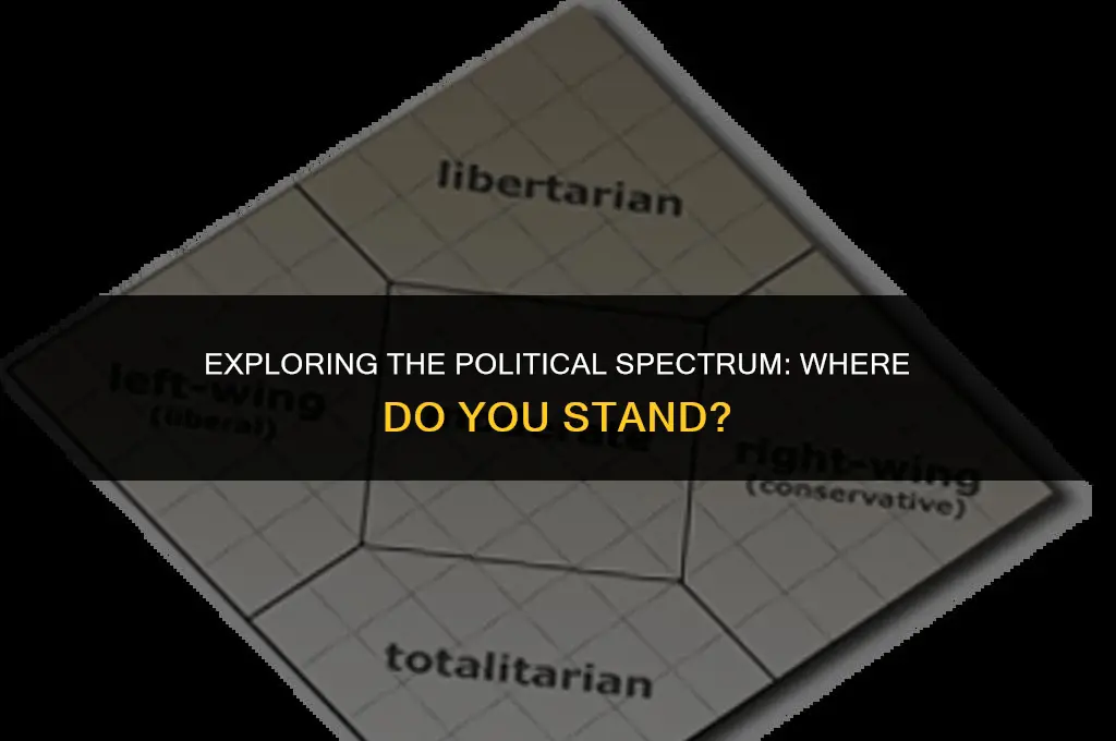 how left or right am i politically
