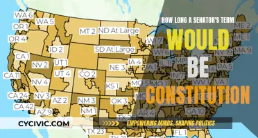 Senator Terms: Understanding Constitutional Limits