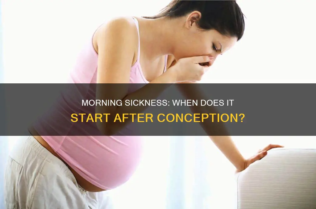 how long after constitution does morning sickness start