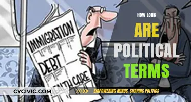 Understanding Political Term Lengths: A Global Overview of Mandates