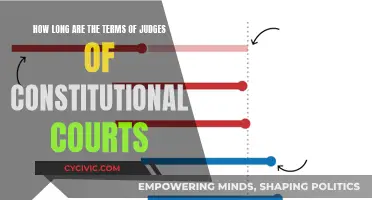 Constitutional Court Judges: Terms and Tenure Limits Explored