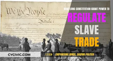 The Constitution's Power to Regulate Slave Trade Explained