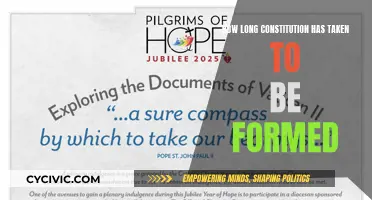 The Long Road to Constitution Formation