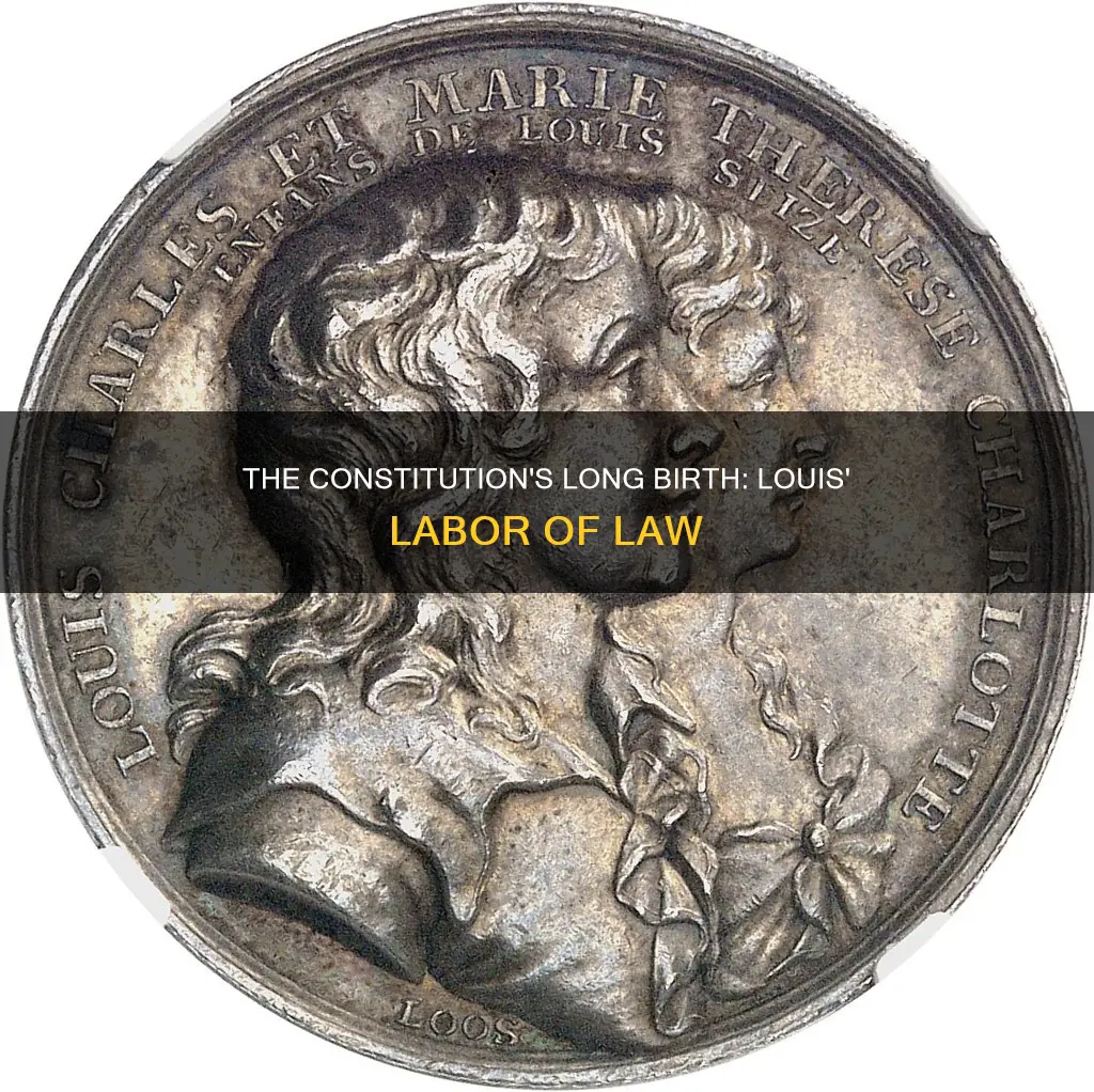 how long did it take louis to create a constitution