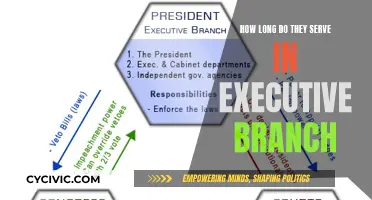 Executive Branch: Tenure Length and Service Limits