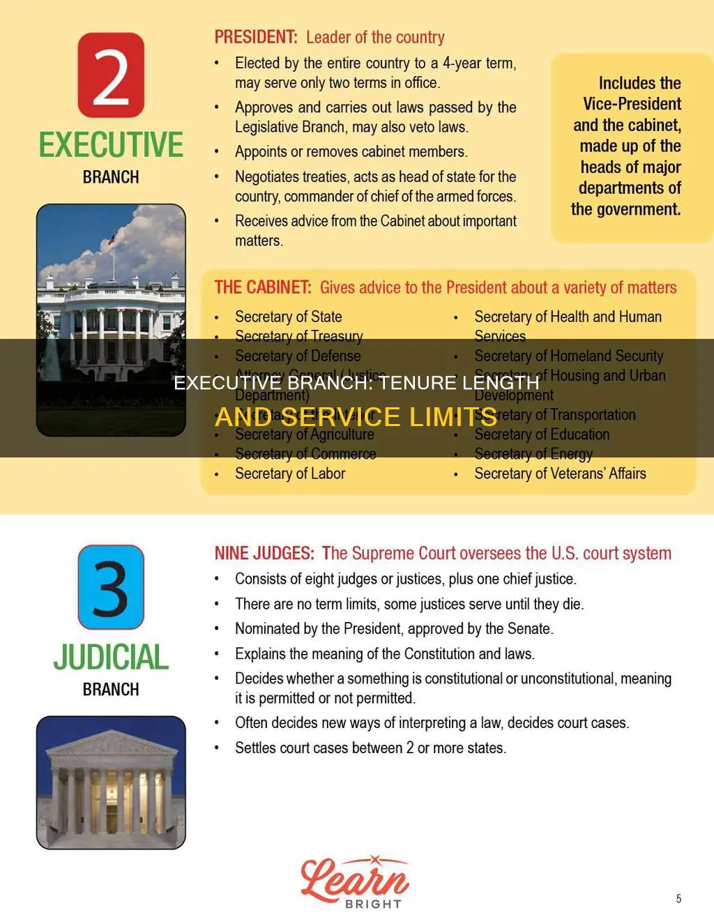 how long do they serve in executive branch