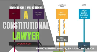 Becoming a Constitutional Lawyer: The Time Commitment