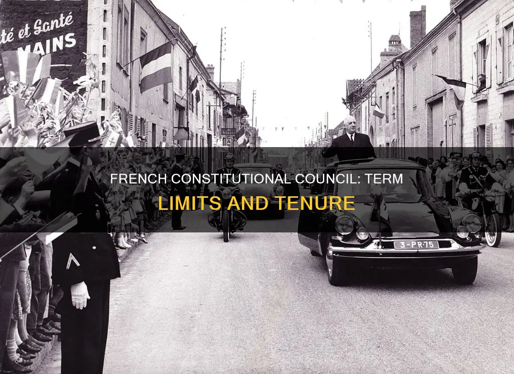 how long does the french constitutional council serve