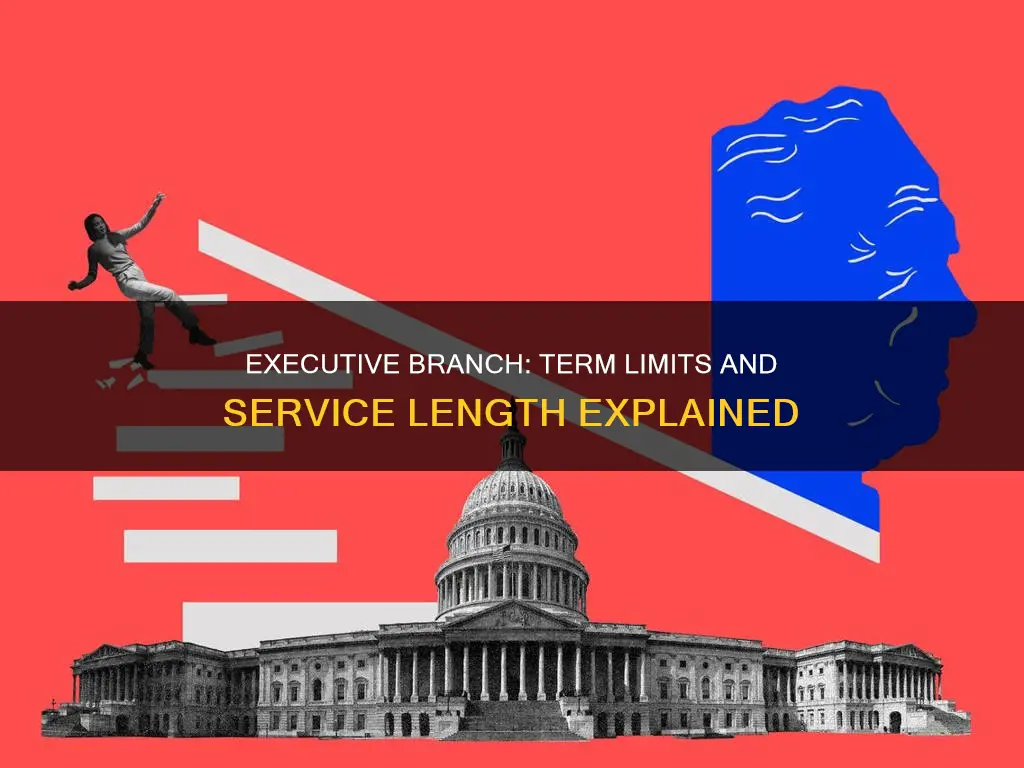 how long does the lexecutive branch branch serve