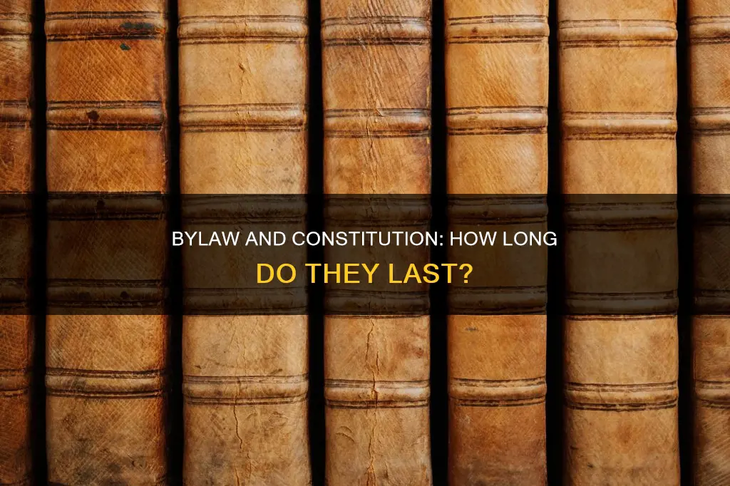 how long does we do with the bylaw constitution