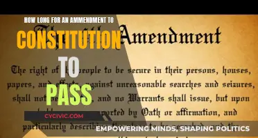 The Long Road to Constitutional Amendments