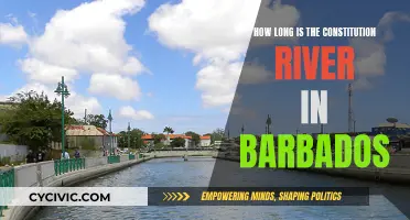 Barbados' Constitution River: How Long Does It Flow?