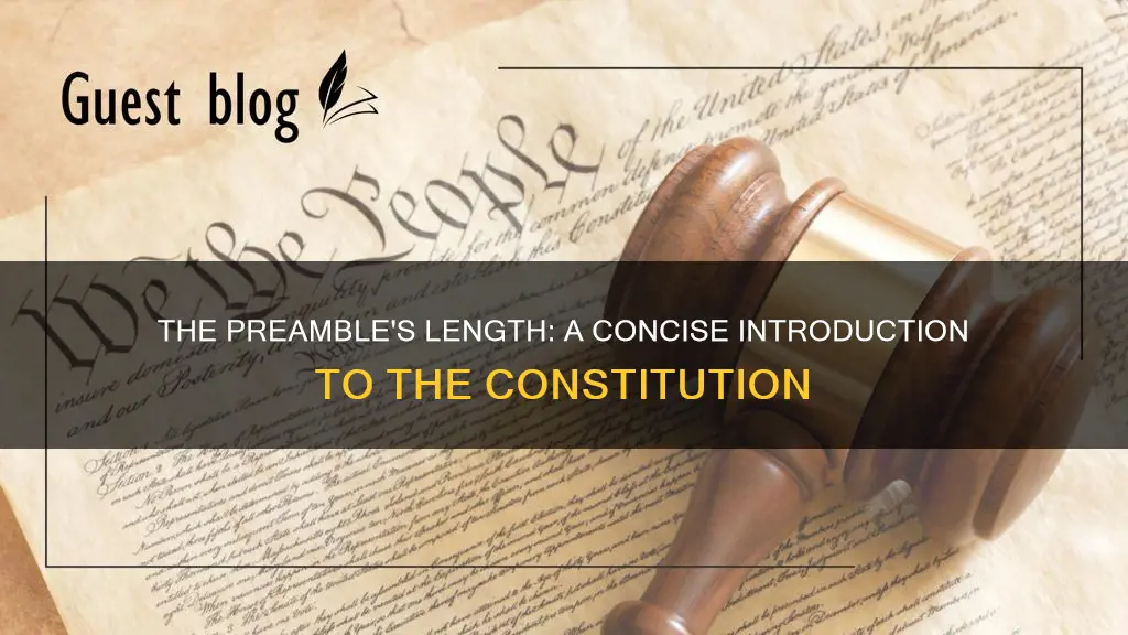 how long is the preamble of the constitution