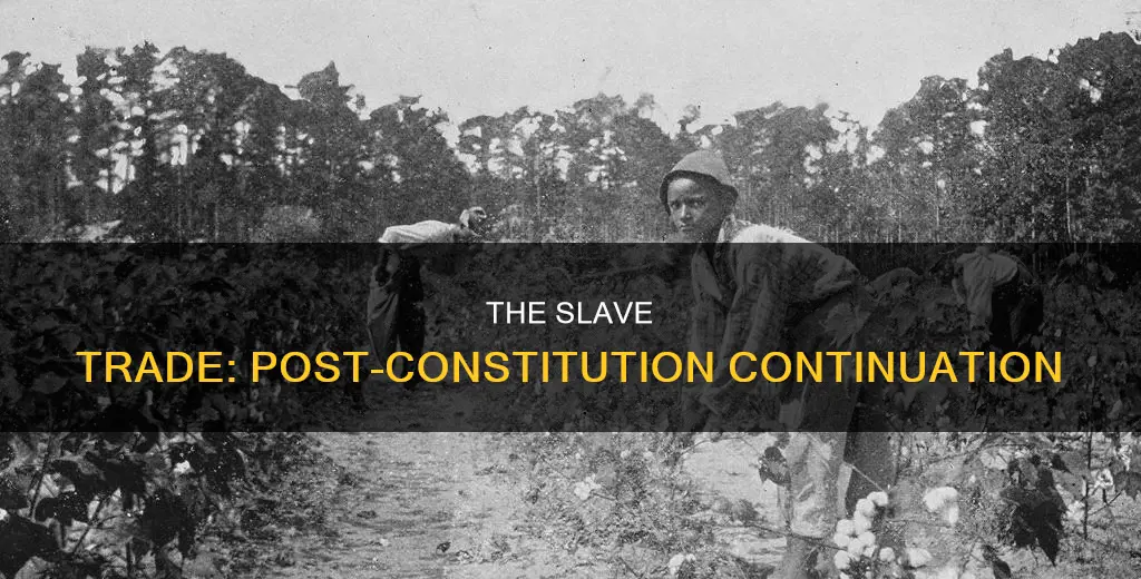 how long was slave trade going to continue after constitution