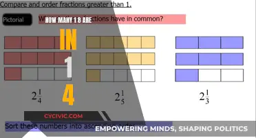 Understanding Fractions: Exploring the Parts of 1/4 and 1/8
