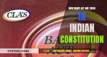 The Evolution of the Indian Constitution: Acts and Amendments