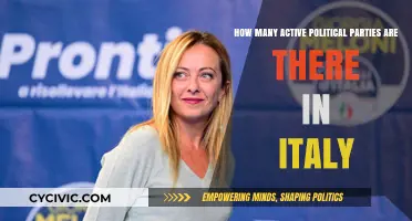 Exploring Italy's Political Landscape: Active Parties and Their Influence