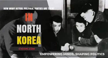 Unveiling North Korea's Political Landscape: Exploring the Reality of Parties