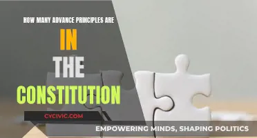 Advanced Principles: The Constitution's Complex Framework