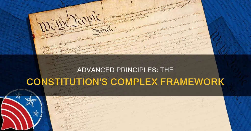 how many advance principles are in the constitution