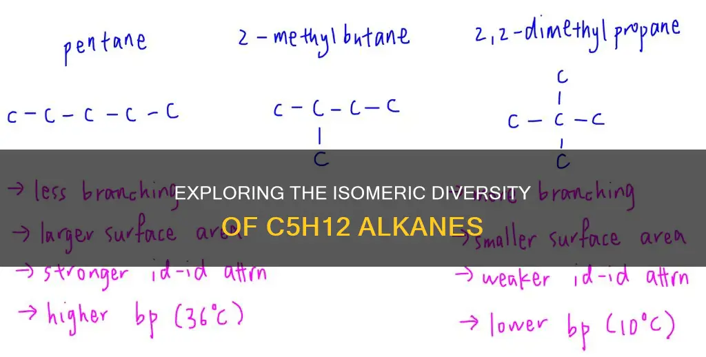 how many alkane constitutional isomers exist with the formula c5h12