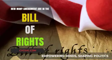 Amendments in the Bill of Rights: A Quick Overview