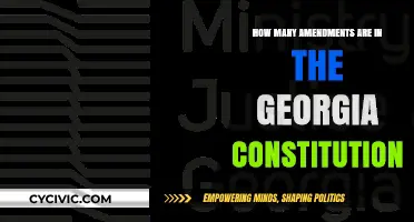 Exploring Georgia's Constitutional Amendments