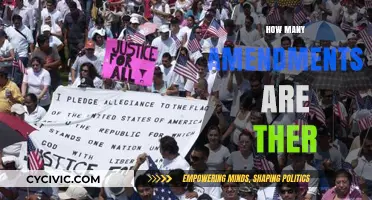 Amendments: Understanding the Count and Their Impact