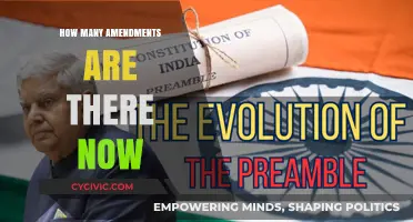 Amendments: The Evolution of Our Constitution