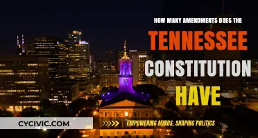 Tennessee's Constitution: Amendments and Their Impact