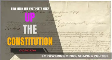 The Constitution's Building Blocks: Understanding Its Composition