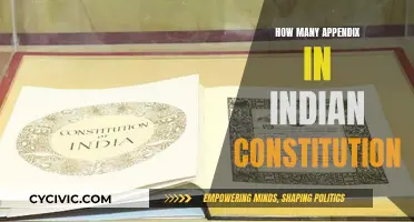 The Evolution of Appendices in India's Constitution