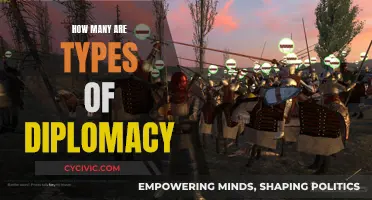 Exploring the Diverse Faces of Diplomacy: Unraveling its Many Types
