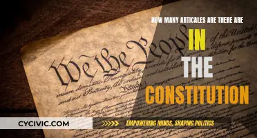 The Constitution's Article Allocation: Understanding the Framework