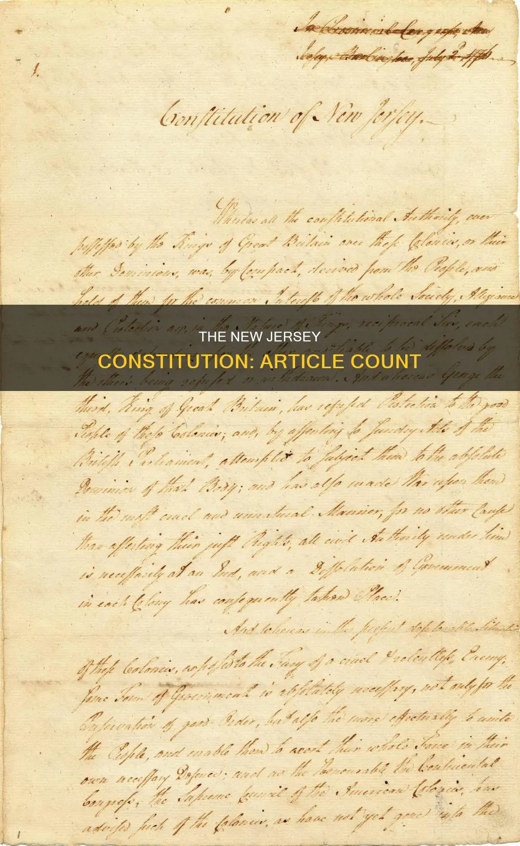 how many articals are in the new jersy constitution