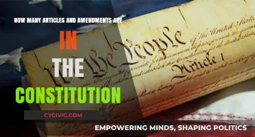 Exploring Constitutional Articles and Amendments