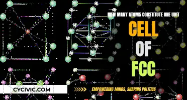 Atoms in an FCC Unit Cell: Counting Atoms